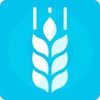 G-tech: Корпоративный сайт компании, адаптивный