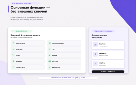 Top Man Digital: SEO помощник