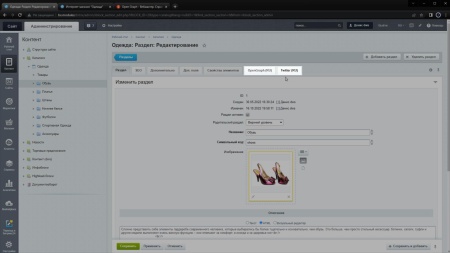 Dwstroy: Установка метатегов OpenGraph и Twitter с учётом многорегиональности и мультисайтовости