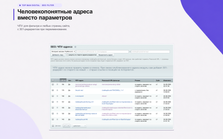 Top Man Digital: SEO помощник