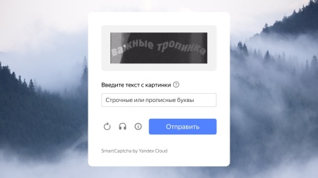 TANAiS.WEB: Yandex SmartCaptcha — замена стандартной капчи