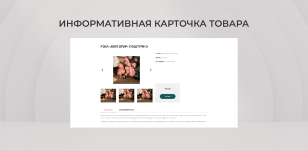 Team-B - Цветы сайт с каталогом №16