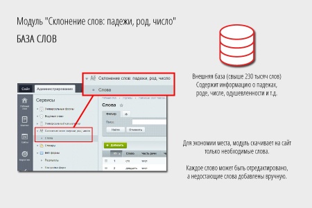 Склонение слов: падежи, род, число