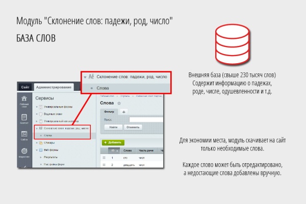 Склонение слов: падежи, род, число