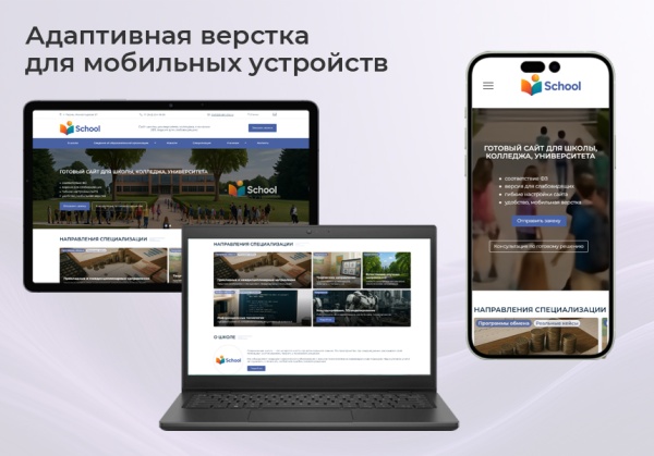 BS: Школа (ФЗ) - сайт школы, университета, колледжа, лицея, гимназии, интерната, института, ВУЗа