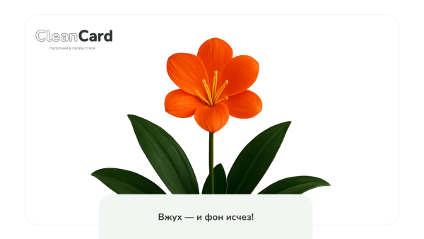 CleanCard — массовое автоудаление фона с изображений