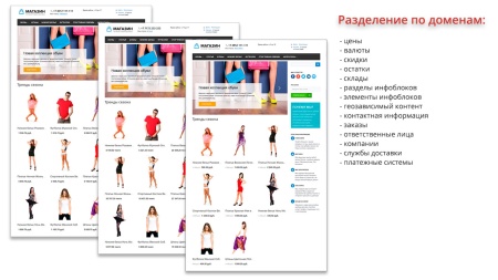 Ammina. Регионы (филиалы и представительства). Мультирегиональность на доменах и URL адресах