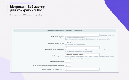 Top Man Digital: SEO помощник