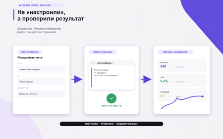 Top Man Digital: SEO помощник