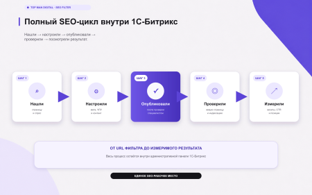 Top Man Digital: SEO помощник