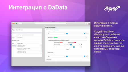 Интеграция с DaData