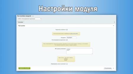 JivoSite: оптимизированное подключение под Google PageSpeed