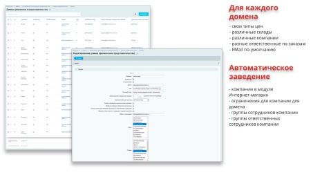 Ammina. Регионы (филиалы и представительства). Мультирегиональность на доменах и URL адресах