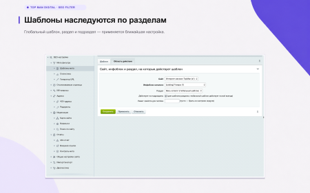 Top Man Digital: SEO помощник