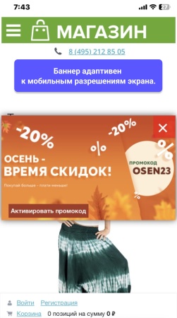 WBS24: Всплывающий рекламный баннер