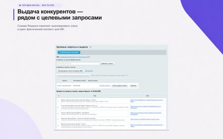 Top Man Digital: SEO помощник