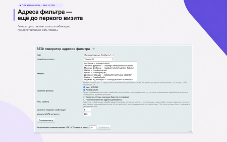 Top Man Digital: SEO помощник