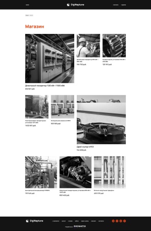 Имиджевый промо-сайт DIGINEPTUNE