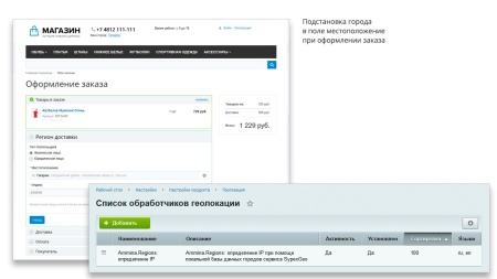 Ammina. Регионы (филиалы и представительства). Мультирегиональность на доменах и URL адресах