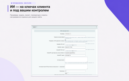 Top Man Digital: SEO помощник