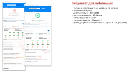 Ammina Optimizer: Оптимизация и ускорение загрузки сайта (CSS, JS, HTML, изображения, WebP, Lazy)
