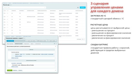 Ammina. Регионы (филиалы и представительства). Мультирегиональность на доменах и URL адресах