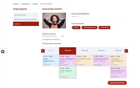 Мибок: Сайт театра (филармонии, оперы, ансамбля, творческого проекта, музыкальной группы)